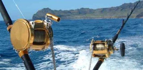Рыбалка на Тенерифе: с берега, морская, глубоководная рыбалка
