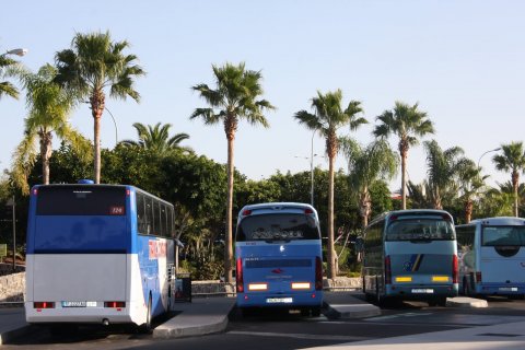 Автобусы на острове Тенерифе